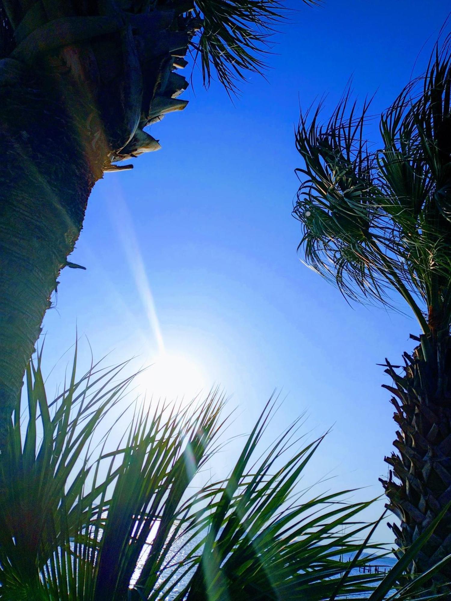 Quality Inn & Suites Gulf Breeze Bayside Near Pensacola Beach Luaran gambar